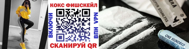 как найти   Сясьстрой  COCAIN FishScale 