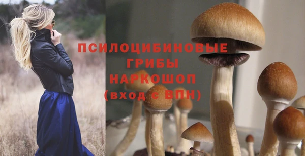 Альфа ПВП Корсаков