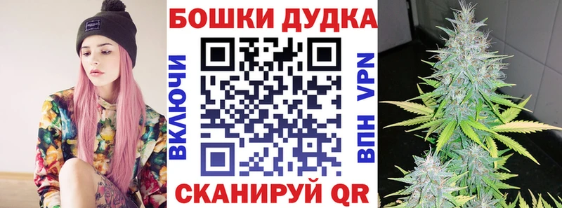 darknet наркотические препараты  сколько стоит  Сясьстрой  Каннабис OG Kush 